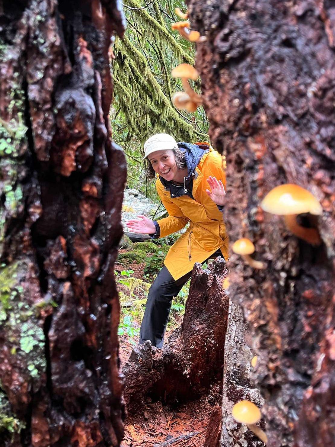 Portrait of Melinda outdoors in a yellow rainjacket, peering between two trees trunks that are growing mushrooms.